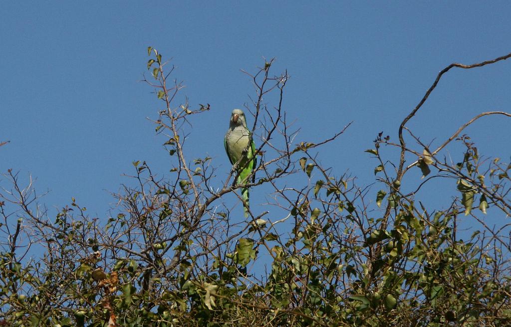 090802_Uruguay 107.jpg